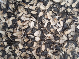 husk of sunflower seeds background, seed cleaning 