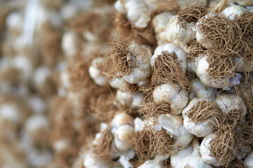 Garlic hanging on the wall.
