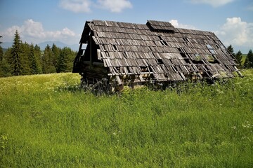 Obraz premium Ruin of an old hay-barn in Demanovska valley in Slovakia.