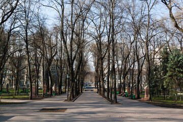 View of the city park in early spring.