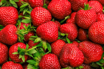 Beautiful fresh ripe strawberries close-up, background.