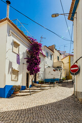 Fototapeta na wymiar Picturesque streets in the tiny Portuguese ocean village Ericeira, Portugal. Blue streets. Travel to the sea.