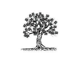 Obraz premium Olive tree vector illustration