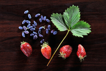 Still life. Composition of natural strawberries, honeysuckle and green leaf