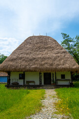 Fototapeta na wymiar clay and brick house with straw and wood roof