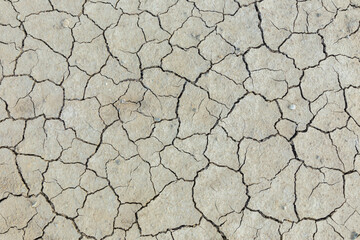 Dry, cracked mud on a desert floor