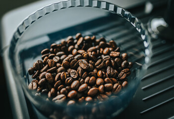 Freshly roasted coffee beans in hopper in home espresso machine