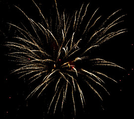 Fireworks sparkles in the night sky as background