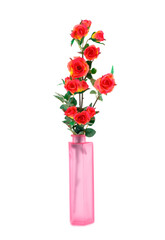 Roses in vase