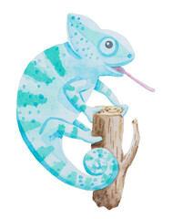 Hand drawn watercolor illustration of a chameleon with big eyes isolated on white background. © Oksana Bessonova