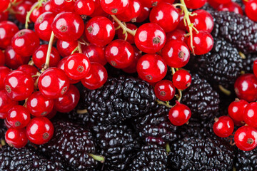 Mulberry and Red Currants  background
