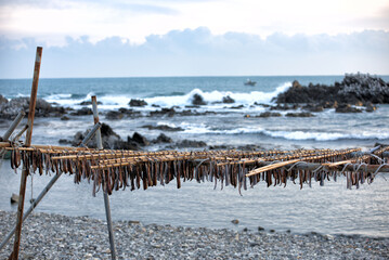 Gwamegi (dried saury) which is a specialty of Pohang, South Korea,(Guamegi)