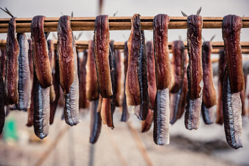 Gwamegi (dried saury) which is a specialty of Pohang, South Korea,(Guamegi)