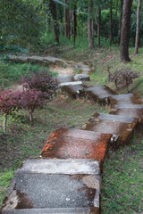 cement stair walk way up to mountain