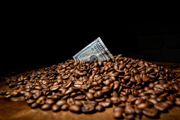 Dollar bill in coffee beans