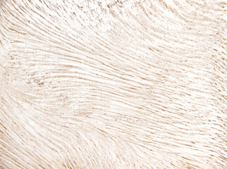 Wood wall texture abstract for background