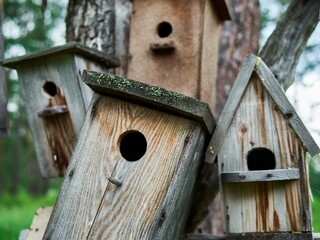 Several nesting boxes for birds hanging on the tree
