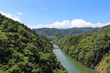 Fototapeta na wymiar 桂橋から見た相模川（神奈川県相模原市）