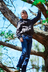 Teenage boy playing outdoor, climbing a tree, bright sunlight, beautiful day