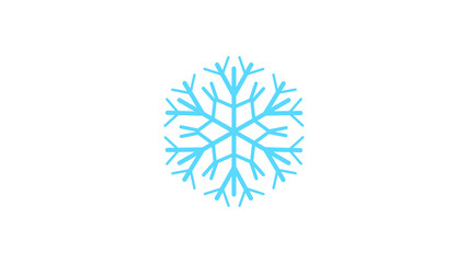 Snowflake icon on grey background.