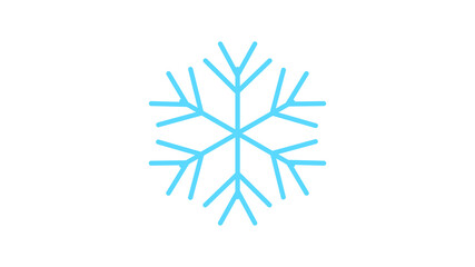 Snowflake icon on grey background.