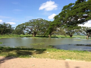 Sri Lanka life