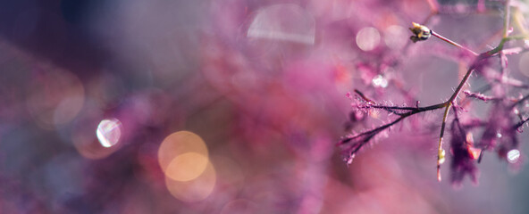 Floraler Hintergrund abstarkt mit viel Textfreiraum- Pink