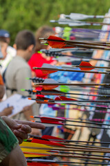 Side view of traditional archery paper target with arrows and archers in the background.