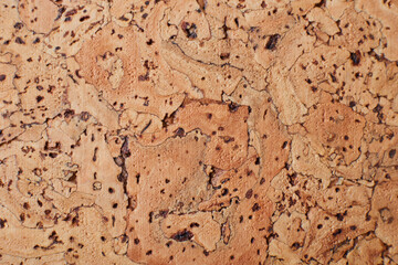 Cork-board background texture. close up flat lay view