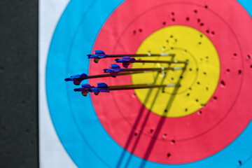 Horizontal shot of blue Olympic archery arrows and their shades in an archery paper target all in...