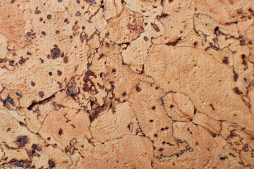 Cork-board background texture. close up flat lay view