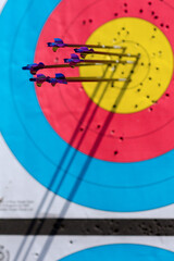 Vertical shot of blue Olympic archery arrows and their shades in an archery paper target all in the...
