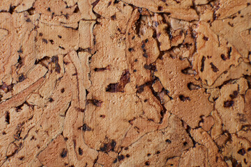 Cork-board background texture. close up flat lay view