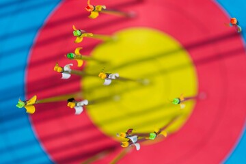 Horizontal close up of olympic archery arrows and their shades in an archery paper target.
