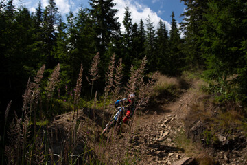 mountain bike trail with a single biker