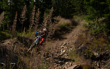 mountain bike rider