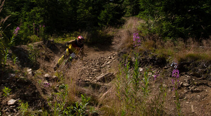bikeing in the mountains mtb race
