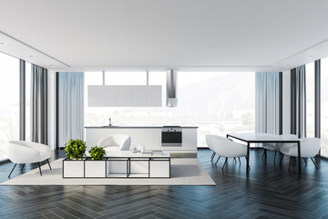 White kitchen and living room interior