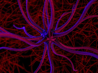 Vascular plant fine roots looking like a neural network. 3D