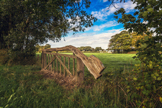 Weidelandschaft mit h&ouml;lzernem Gatter