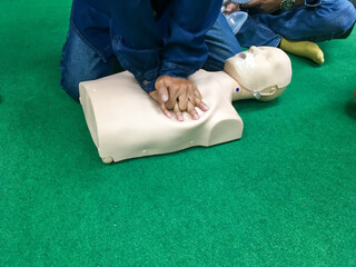 Training on first aid or cpr with puppets by using people for first aid and can be used in everyday...