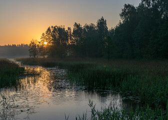 Fototapeta na wymiar morning landscape with lake, green grass in the foreground, sunrise on the lake, summer
