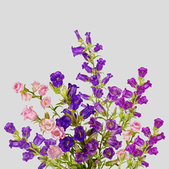 Fototapeta na wymiar Campanula Flowers. Beautiful hand-bell in vase. Copy spase, flat lay, top view, Holiday symbol. Greeting card