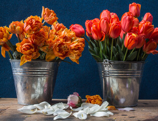 two bouquets of red and orange tulips in metal buckets on a wooden table on a dark background