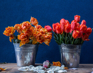 two bouquets of red and orange tulips in metal buckets on a wooden table on a dark background