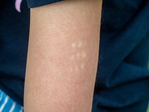 542 Best g Images Stock Photos Vectors Adobe Stock