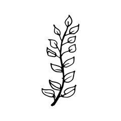 Hand drawing flower and leaves branch