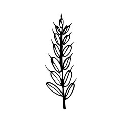 Hand drawing flower and leaves branch