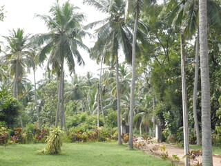 Sri Lanka