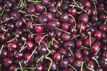 ripe red cherries close up